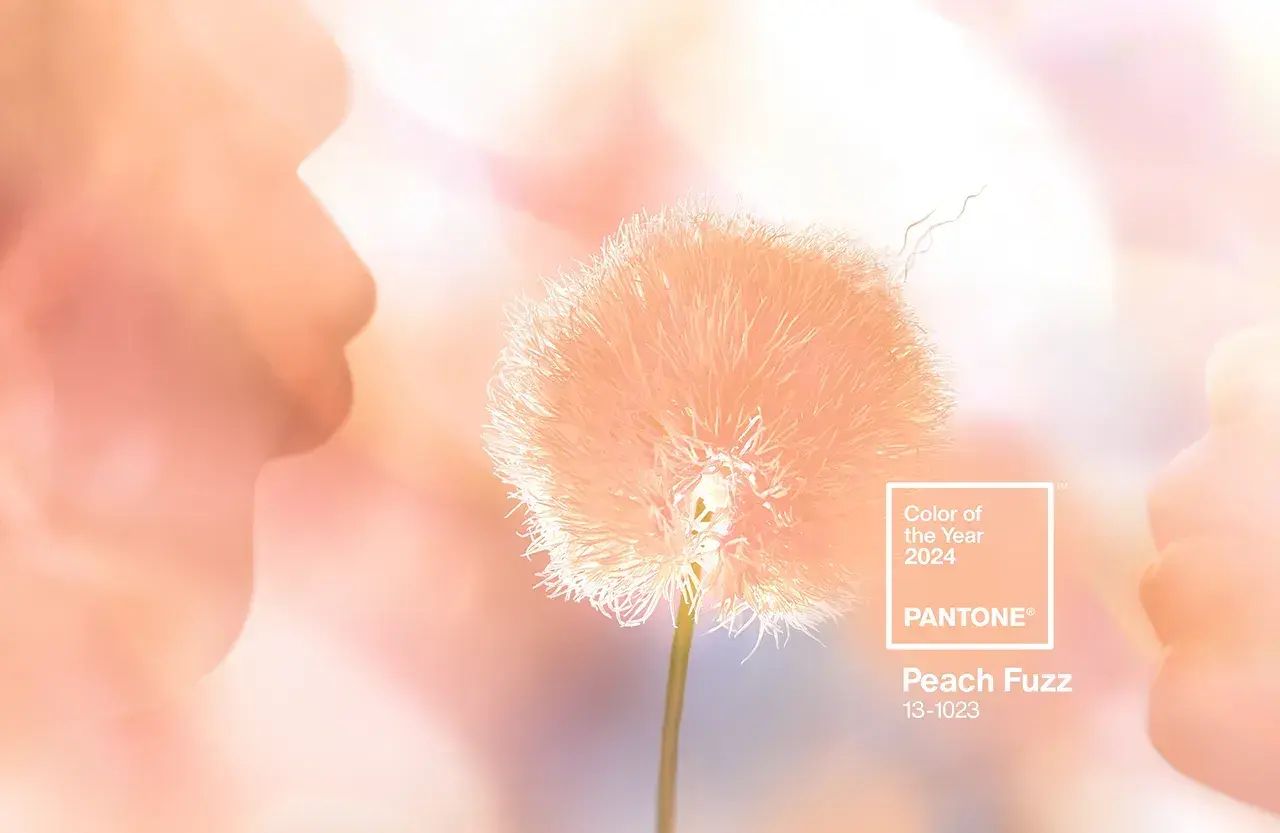 イメージ画像 by PANTONE